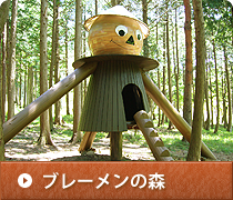 ブレーメンの森